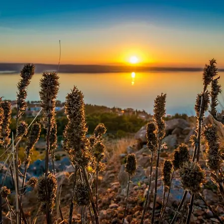 Amarena Apartamento *