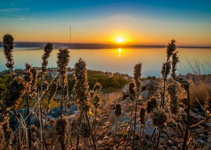 Amarena Apartamento *